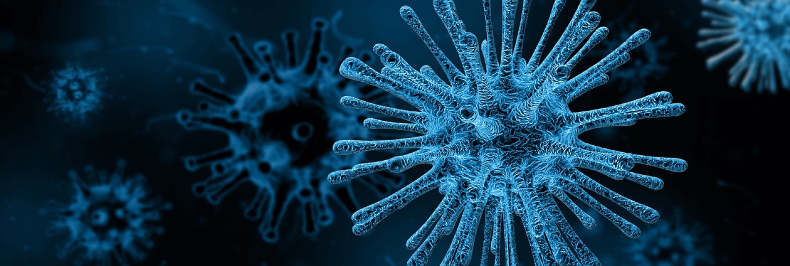 "Infectiile in 2024: preventie, tratament, interdisciplinaritate"