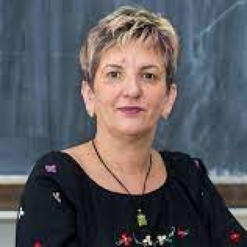 Cristina Elena Dinu Pirvu